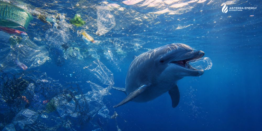 Berapa Lama Plastik PET Terurai? Ini Faktanya!